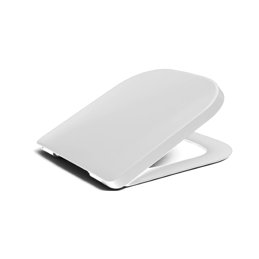 Roca Gap Project Z801477004 Toilet Seat Toilet seats