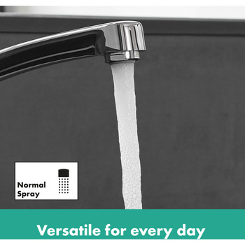 Hansgrohe | 31806000 | Kitchen Sink Mixer