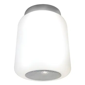 hib. 0710 Rhythm Ceiling Light