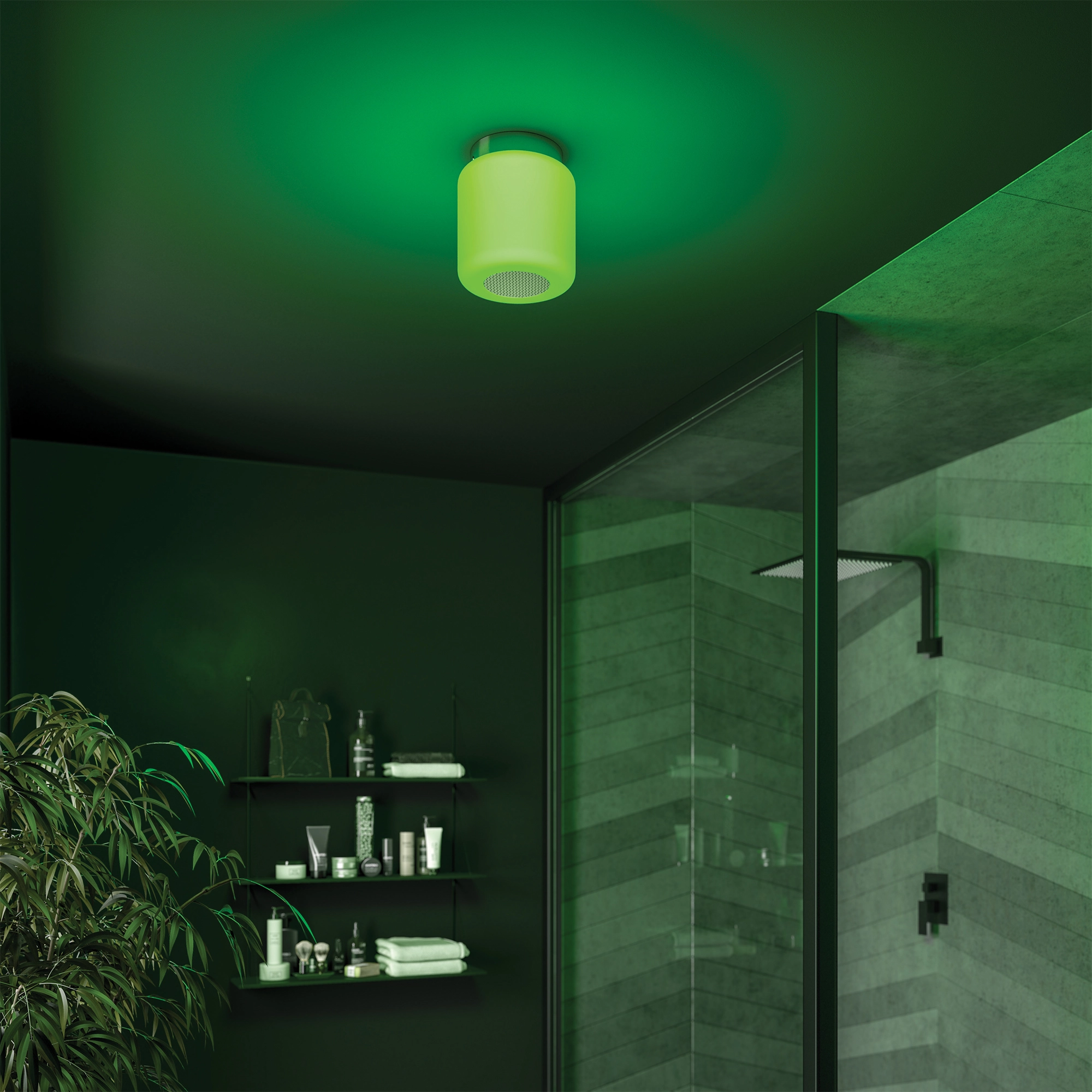 hib. 0710 Rhythm Ceiling Light Lifestyle Green