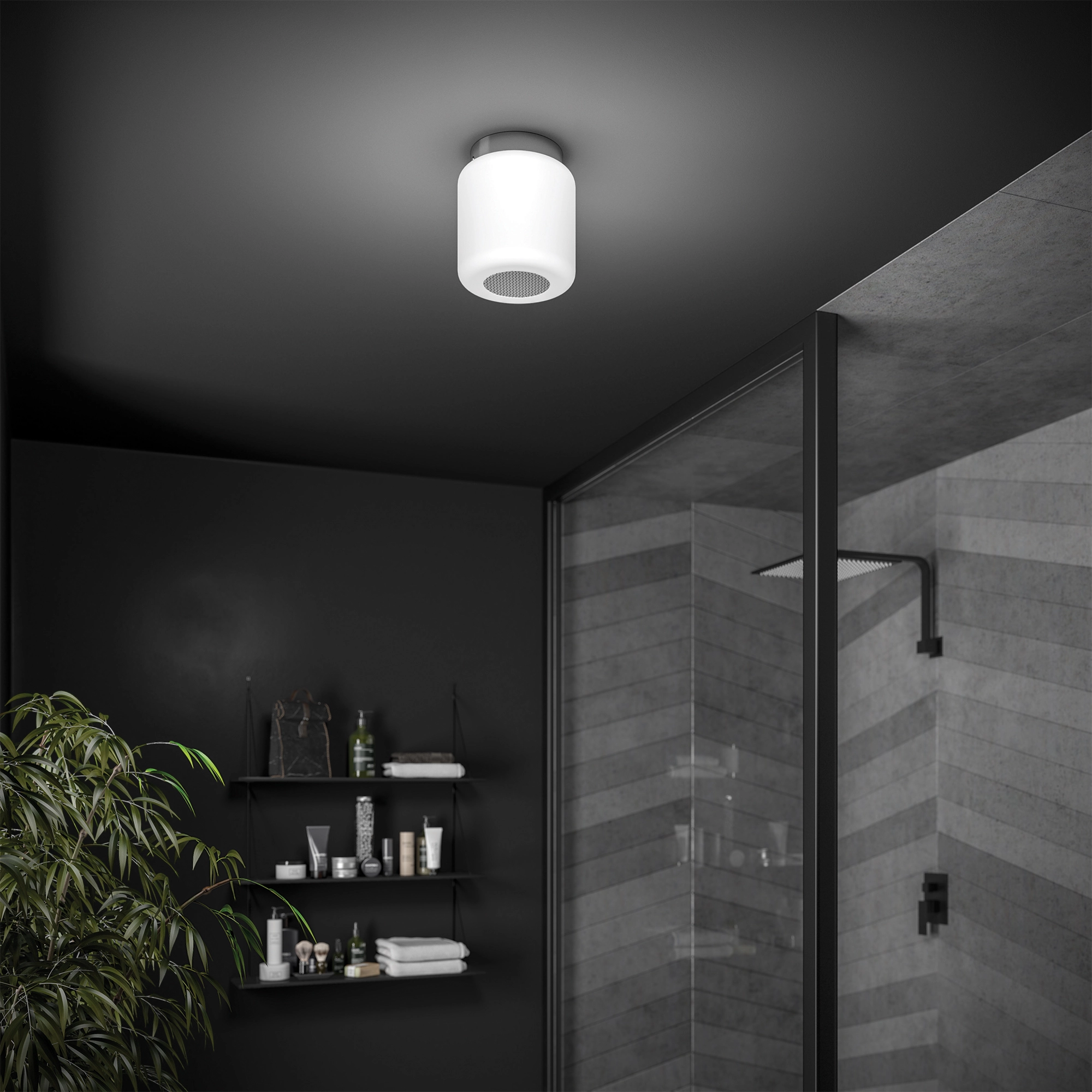 hib. 0710 Rhythm Ceiling Light lifestyle 1