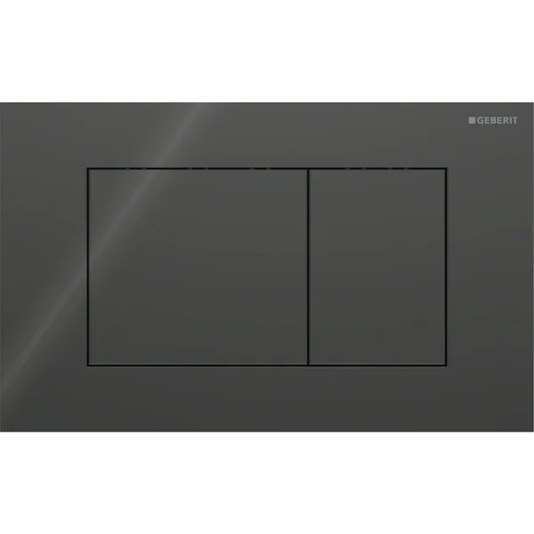 Geberit | 115.629.SJ.1 | Flush Plate